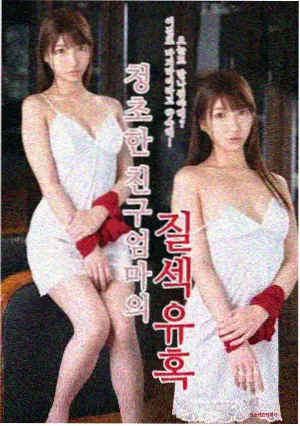 风骚律师